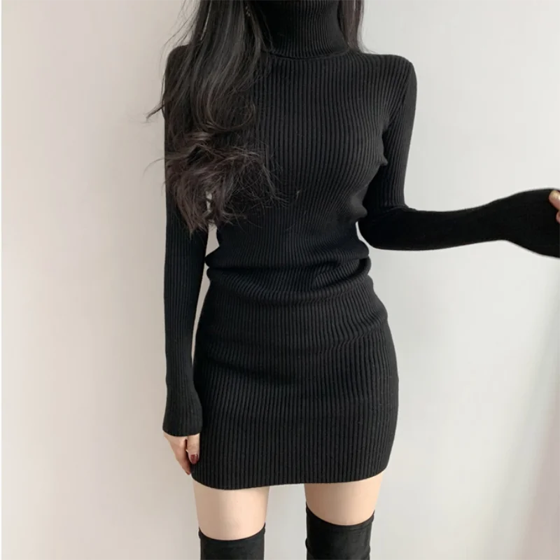 Turtleneck knit dress