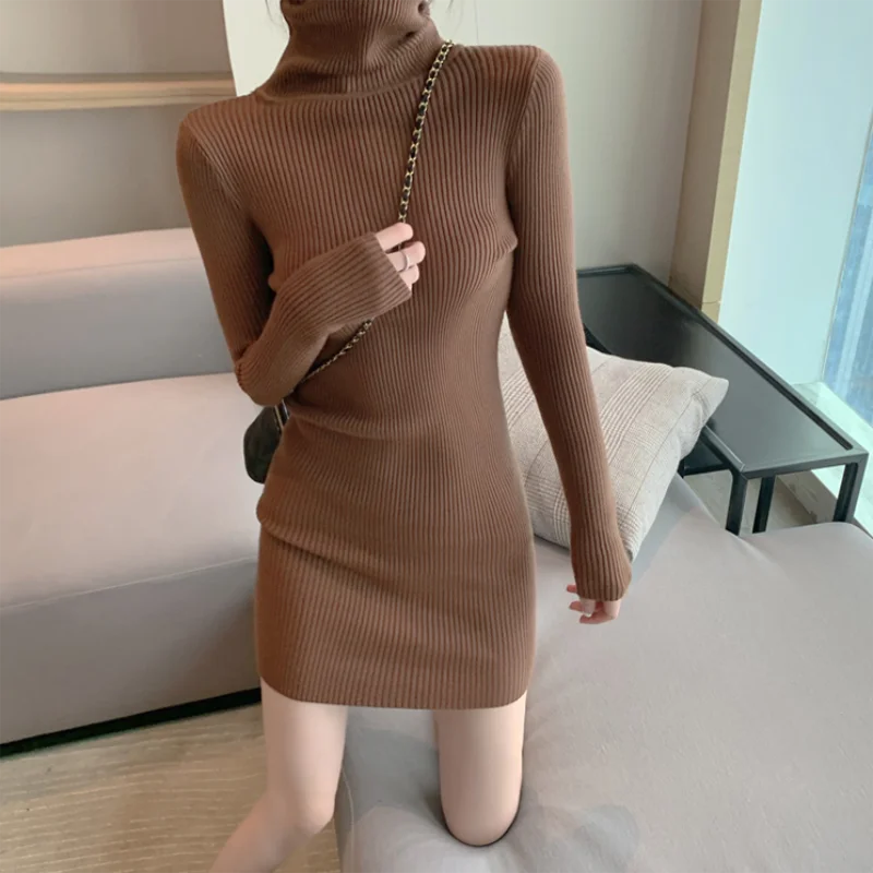 Turtleneck knit dress