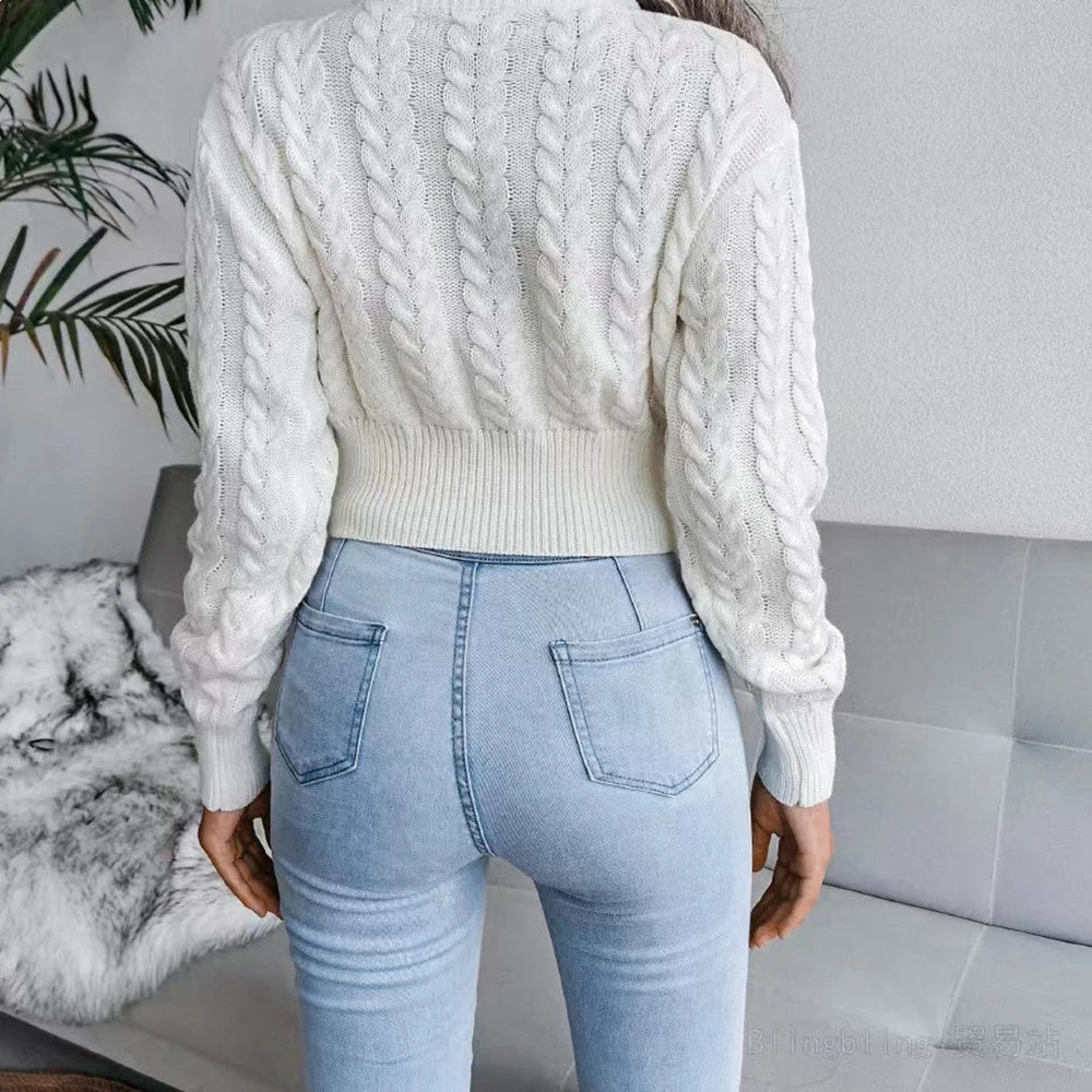 Casual Pullovers Knitted Crop Top