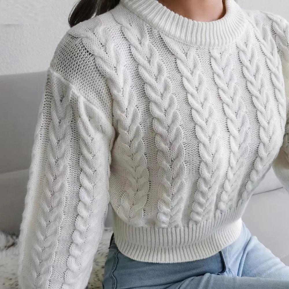 Casual Pullovers Knitted Crop Top