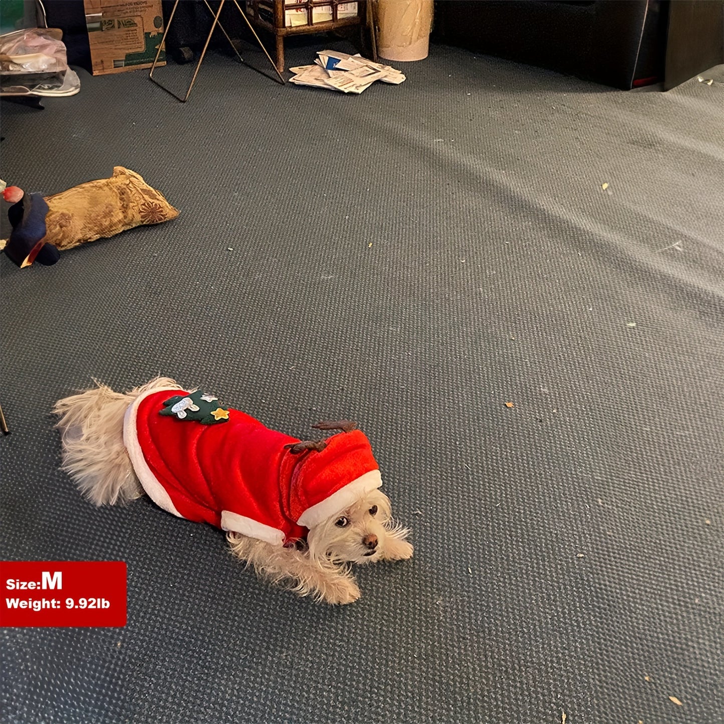 Christmas Dog Hoodie,