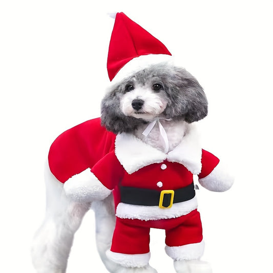 Festive Santa Claus Dog Costume